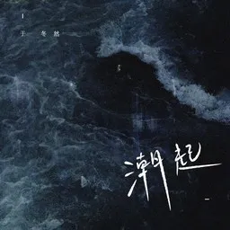 Cover art for 潮起 - 于冬然 karaoke version