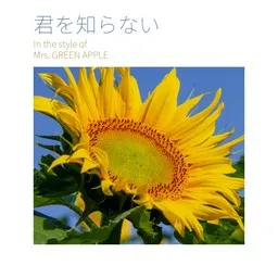 Karaokekappaleen 君を知らない - Mrs. GREEN APPLE kansikuva