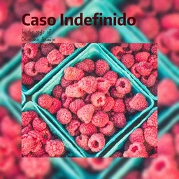 Cover art for Caso Indefinido - Cristiano Araújo karaoke version