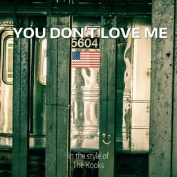 Cover art for You Don't Love Me - The Kooks karaoke version