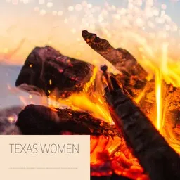 Cover art for Texas Women - Butch Baker,Dana McVicker,Hank Williams Jr.,Highway 101,Marty Stuart,Steve Earle,T. Graham Brown karaoke version