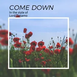 Titelbild für Come Down - Lord Tanamo Karaoke-Version
