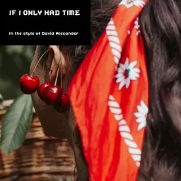 Cover art for If I Only Had Time - David Alexander karaoke version