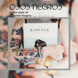 Omslagsbild för Ojos Negros - Segundo Rosero karaokeversion