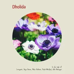 Cover art for Dholida - Loveyatri,Neha Kakkar,Palak Muchhal,Raja Hasan,Udit Narayan karaoke version