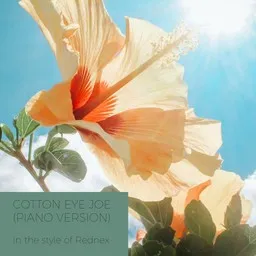 Cover art for Cotton Eye Joe (Piano Version) - Rednex karaoke version