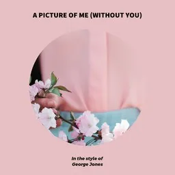 Cover art for A Picture Of Me (Without You) - George Jones karaoke version