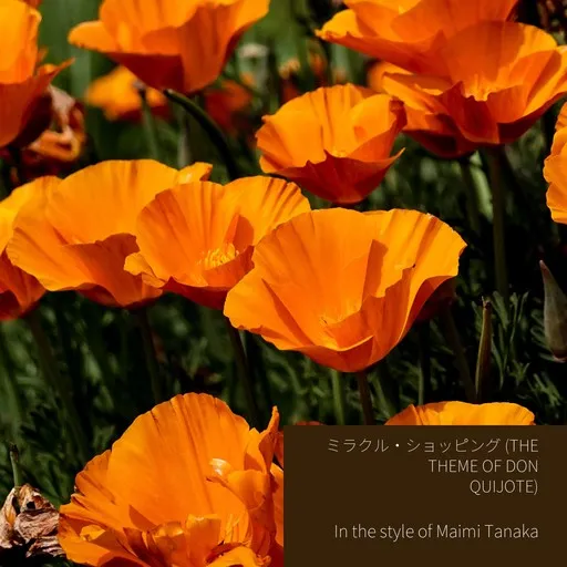 Karaoke ミラクル・ショッピング (The theme of Don Quijote) av Maimi Tanaka (田中真美) — sjung med på texten på Singa