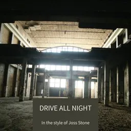 Cover art for Drive All Night - Joss Stone karaoke version