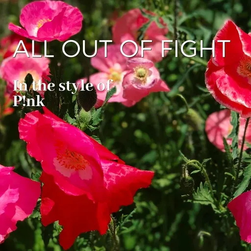 All Out of Fight - Karaoke