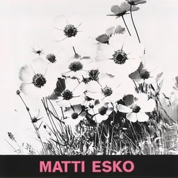 Cover art for Nauti ja elä - Matti Esko karaoke version