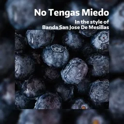 Titelbild für No Tengas Miedo - Banda San Jose De Mesillas Karaoke-Version