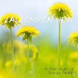 Karaokekappaleen Välkommen Hem - Sonja Aldén kansikuva