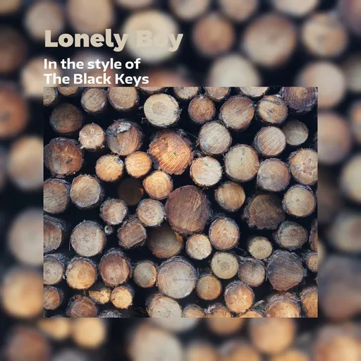 Karaoke Lonely Boy by The Black Keys — sing along with lyrics on Singa