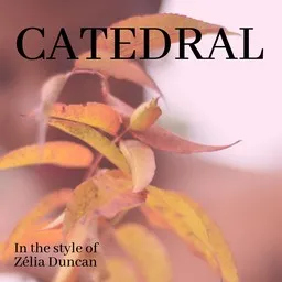 Cover art for Catedral - Zélia Duncan karaoke version