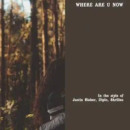 Titelbild für Where Are U Now - Diplo,Justin Bieber,Skrillex Karaoke-Version