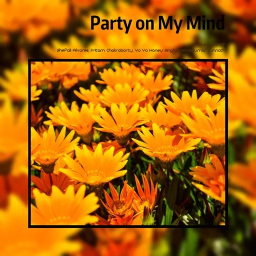 Party on My Mind - Karaoke