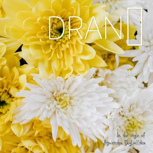 Drań - Karaoke