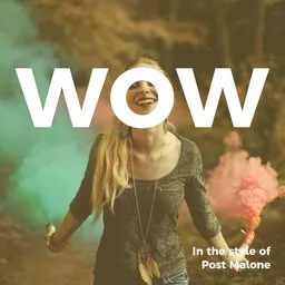 Titelbild für Wow - Post Malone Karaoke-Version