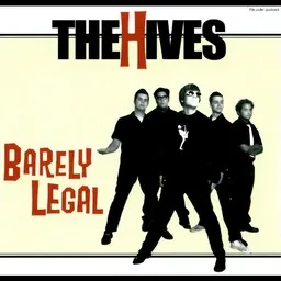 Cover art for A.K.A. I-D-I-O-T - The Hives karaoke version
