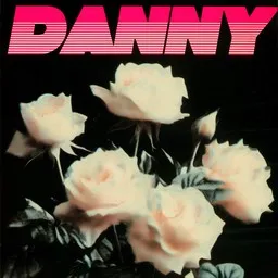 Titelbild für Vain kaksi nauhaa - Danny Karaoke-Version