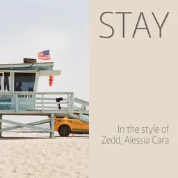 Cover art for Stay - Alessia Cara,Zedd karaoke version