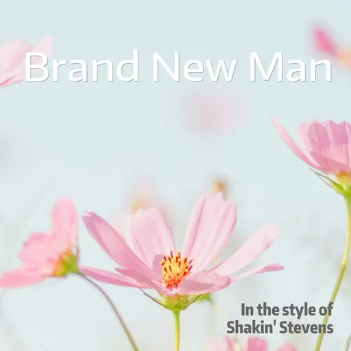 Karaoke Brand New Man by Shakin' Stevens — sing along with lyrics on Singa