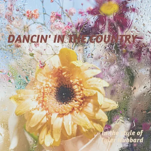 Karaoke Dancin' in the Country by Tyler Hubbard — sing along with lyrics on Singa