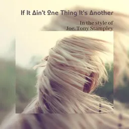 Cover art for If It Ain't One Thing It's Another - Joe,Tony Stampley karaoke version