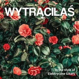 Cover art for Wytrąciłaś - Elektryczne Gitary karaoke version