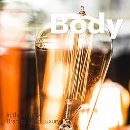 Cover art for Body - Brando,Loud Luxury karaoke version