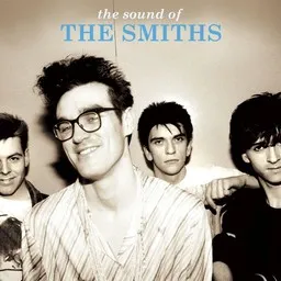 Omslagsbild för This Charming Man - The Smiths karaokeversion