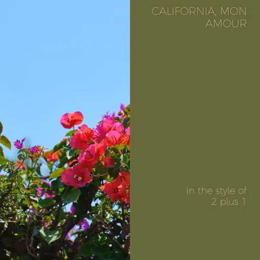 California, Mon Amour - Karaoke