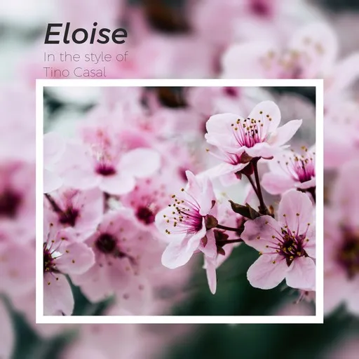 Karaoke Eloise by Tino Casal — sing along with lyrics on Singa