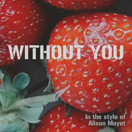 Without You - Karaoke