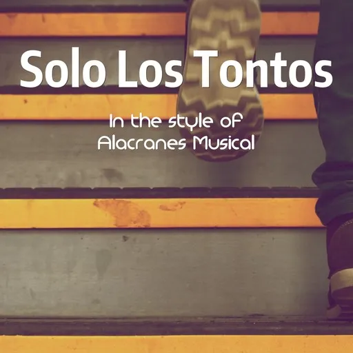 Solo Los Tontos - Karaoke