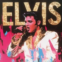 Cover art for The Wonder of You - Elvis Presley karaoke version
