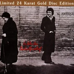 Wolfgang Ambros - Karaoke