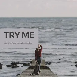 Cover art for Try Me - One Nation Crew,Tamar Braxton karaoke version