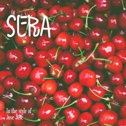 Cover art for Sera - José José karaoke version