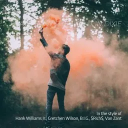 Cover art for That's How They Do It In Dixie - $Rich$,B.I.G.,Gretchen Wilson,Hank Williams Jr.,Van Zant karaoke version