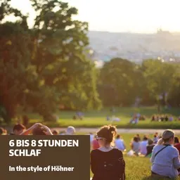 Cover art for 6 bis 8 Stunden Schlaf - Höhner karaoke version