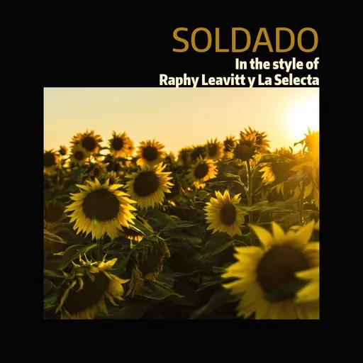 Soldado - Karaoke