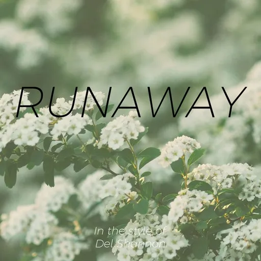 Karaoke Runaway by Del Shannon — sing along with lyrics on Singa