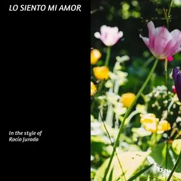 Cover art for Lo Siento Mi Amor - Rocío Jurado karaoke version
