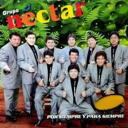Titelbild für Pecadora - Grupo Néctar Karaoke-Version