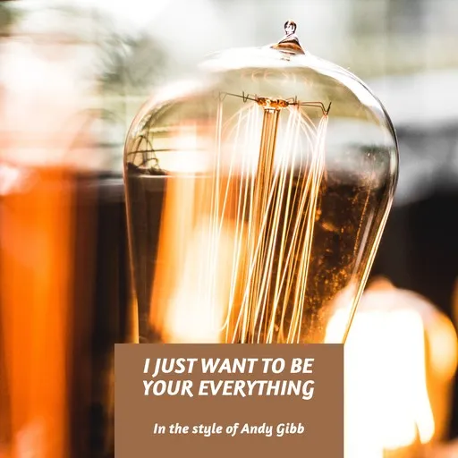 I Just Want To Be Your Everything - Karaoke