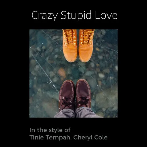 Karaoke Crazy Stupid Love by Cheryl Cole, Tinie Tempah — sing along with lyrics on Singa