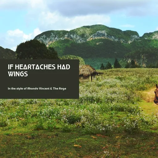 If Heartaches Had Wings - Karaoke