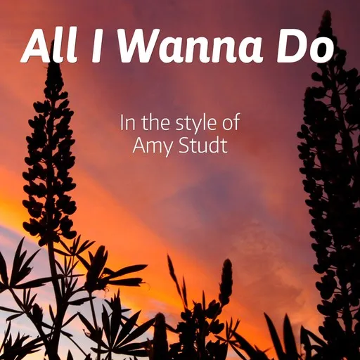 All I Wanna Do - Karaoke